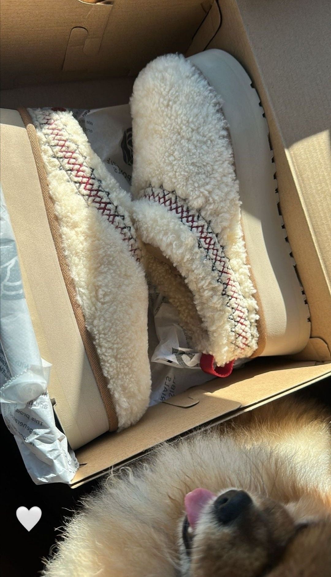 Ugg Tazz Platform Slippers sheep מידה 40